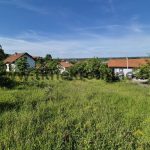 13. Kuća, sl. 5