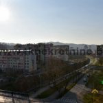 14…Pogled
