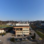 15….Pogled