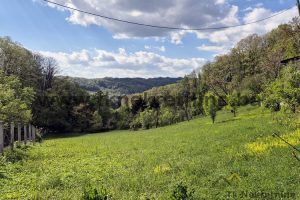 Land plot 3133 m² , next to main road, settlement Kozlovac – FOR SALE
