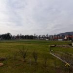 36.Pogled