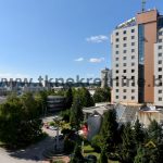 19, Pogled, sl,1