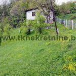 DCIM100MEDIADJI_0218.JPG