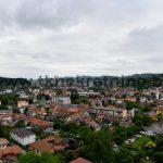26…..Pogled